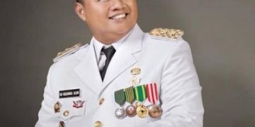 wagub jabar penyakit mulut kuku