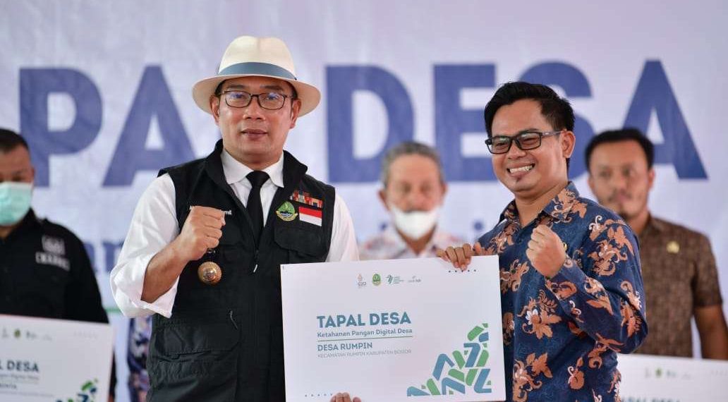 Tapal desa