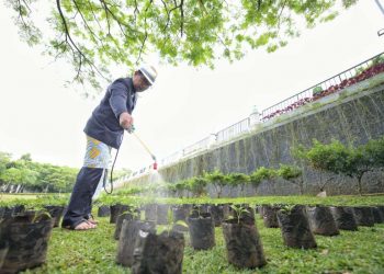 bantuan bibit untuk ketahanan pangan