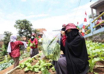 Buruan Sae Kota Bandung