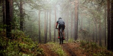 Trek mountain bike