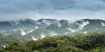 penyelenggaraan bursa karbon