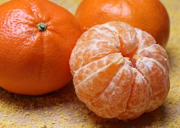 gelar buah nusantara