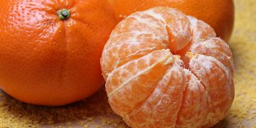 gelar buah nusantara