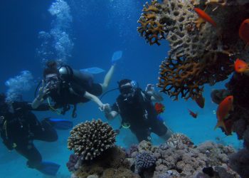 Taman Nasional Wakatobi