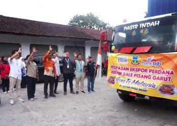 Garut ekspor sale pisang