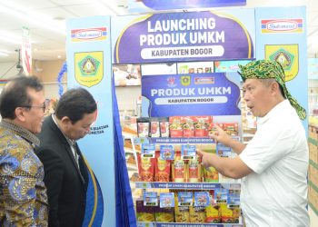 umkm kab bogior