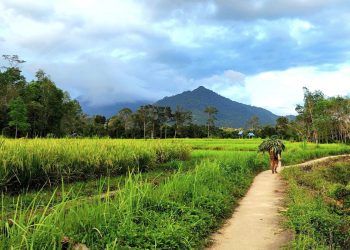 Desa Wisata Ketapanrame. Terletak di Kabupaten Mojokerto, Jawa Timur,