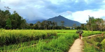 Desa Wisata Ketapanrame. Terletak di Kabupaten Mojokerto, Jawa Timur,