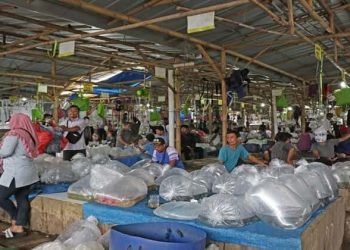 pasar ikan hias
