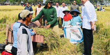 Presiden Joko Widodo di Indramayu (setkab)