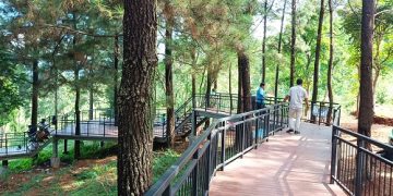 Forest walk (sumedangkab.go.id)