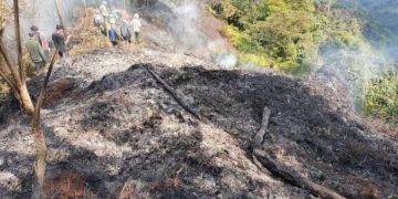 Kebakaran di Gunung Salak (jabarprov.go.id)