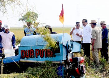 Jokowi panen raya padi