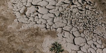 waspadai bencana kekeringan