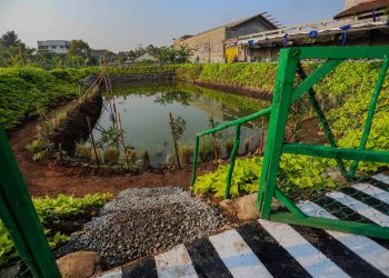 Kolam retensi ruang terbuka hijau