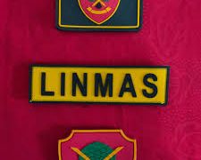 Linmas