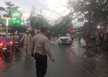 Polisi menangani pohon tumbang (FOTO: Istimewa)