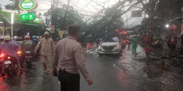 Polisi menangani pohon tumbang (FOTO: Istimewa)