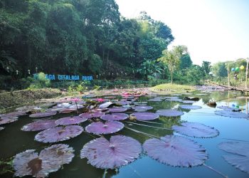 Danau talaga citalaga