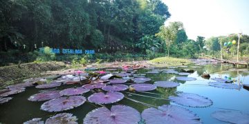 Danau talaga citalaga