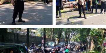 Pohon Tumbang Jalan Tamansari