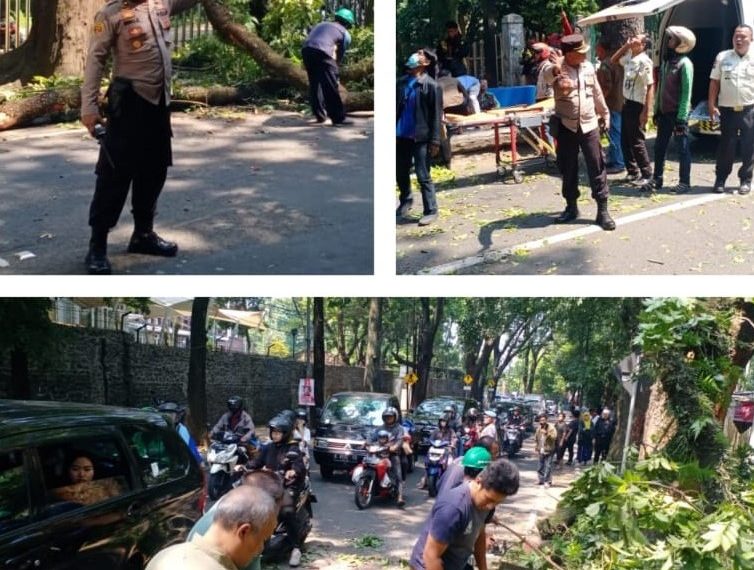 Pohon Tumbang Jalan Tamansari