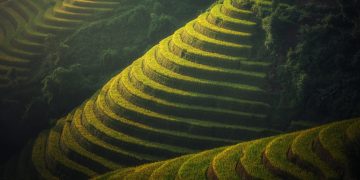 Petani milenial pertanian