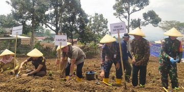 Bank Indonesia tanam pohon cabai