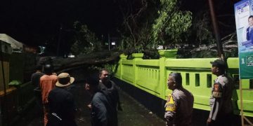 Pohon tumbang di Alun-alun Situraja Kab. Sumedang pada Minggu (7/1/2024) pukul 19.45.