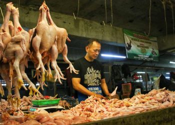 Inflasi Kota Bandung Desember 2023 pasar menjual daging ayam,inflasi jabar