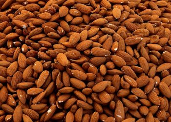 kacang almond makanan serat tinggi