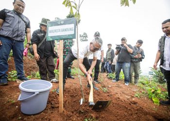 Penjabat Wali Kota Bandung, Bambang Tirtoyuliono menyambut positif kegiatan penanaman pohon serentak di Kawasan Bandung Utara (KBU).