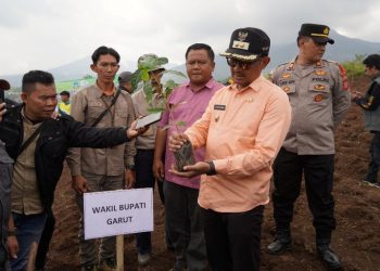 Garut targetkan tanam 770 ribu pohon kopi, kata Wakil Bupati Garut, dr. Helmi Budiman.
