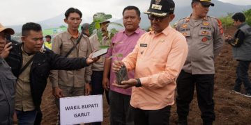 Garut targetkan tanam 770 ribu pohon kopi, kata Wakil Bupati Garut, dr. Helmi Budiman.