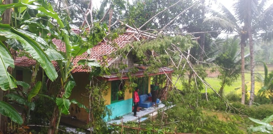 Rumah warga Pangandaran tertimpa pohon