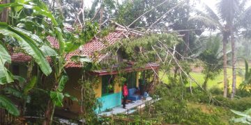 Rumah warga Pangandaran tertimpa pohon