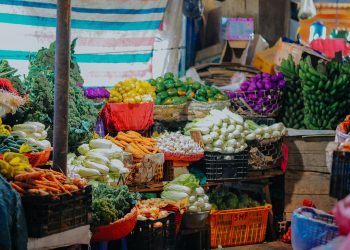 Bahaya jarang makan sayur sayuran bahan makanan untuk daya tahan tubuh