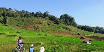 Asuransi pertanian dengan nama Program Asuransi Usaha Tani Padi terus digulirkan Dinas Pertanian dan Ketahanan Pangan (DPKP) Kabupaten Sumedang.