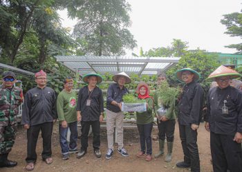 Buruan Sehat Alami Ekonomis (Buruan Sae) punya peran strategis dalam upaya intervensi penurunan angka stunting dan mengendalikan inflasi dengan memperkuat ketahanan pangan dan neraca bahan pangan Kota Bandung. Hal tersebut diungkapkan Pj Wali Kota Bandung, Bambang Tirtoyuliono saat mengunjungi Kelompok Baruan Sae Sabedug di RW 13 Kelurahan Palasari Kecamatan Cibiru dan Buruan Sae Ceria di Kecamatan Panyileukan, Kamis 15 Februari 2024.