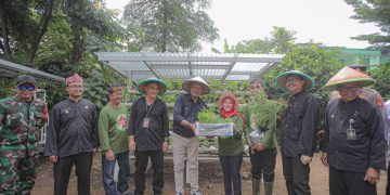 Buruan Sehat Alami Ekonomis (Buruan Sae) punya peran strategis dalam upaya intervensi penurunan angka stunting dan mengendalikan inflasi dengan memperkuat ketahanan pangan dan neraca bahan pangan Kota Bandung. Hal tersebut diungkapkan Pj Wali Kota Bandung, Bambang Tirtoyuliono saat mengunjungi Kelompok Baruan Sae Sabedug di RW 13 Kelurahan Palasari Kecamatan Cibiru dan Buruan Sae Ceria di Kecamatan Panyileukan, Kamis 15 Februari 2024.