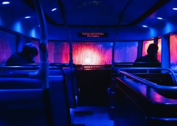 Bus