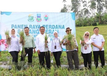 Penjabat (Pj) Bupati Garut, Barnas Adjidin, mengawali Panen Raya Bawang Merah Batu Badan Usaha Milik Desa (BUMDes) Sari Sejahtera, Desa Sindangsari, Kecamatan Cigedug, Kabupaten Garut, pada Rabu (21/2/2024).
