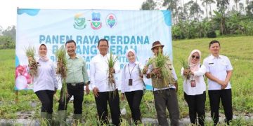 Penjabat (Pj) Bupati Garut, Barnas Adjidin, mengawali Panen Raya Bawang Merah Batu Badan Usaha Milik Desa (BUMDes) Sari Sejahtera, Desa Sindangsari, Kecamatan Cigedug, Kabupaten Garut, pada Rabu (21/2/2024).