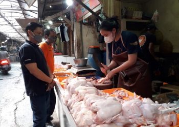 Kabupaten Sumedang termasuk daerah yang surplus produksi ayam potong. Data Dinas Perikanan dan Peternakan (Diskanak) Kabupaten Sumedang setiap kali panen di Sumedang dihasilkan sekitar 2,6 juta ekor ayam potong.
