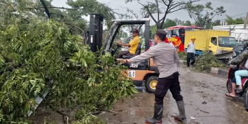 Tornado Bandung pohon tumbang