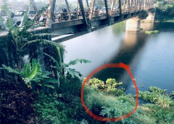 Seorang wanita terjatuh dari Jembatan Sasakbubur Kelurahan Mekarmukti Kecamatan Cihampelas Kabupaten Bandung Barat, Sabtu pagi (23/3/2024) pukul 06.30 WIB.
