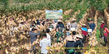 Polres Sumedang kawal panen jagung warga Sumedang sejalan dengan program Starbak (Satu Hektar Petani Bangkit).