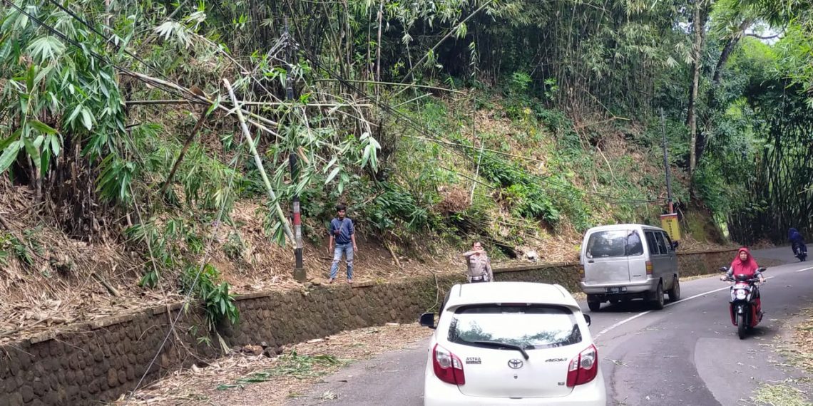 Pohon bambu tumbang menutup separuh badan jalan raya di Dusun Cipadung Desa Situraja Utara Kec. Situraja Kab. Sumedang. Polsek Situraja Polres Sumedang sigap ke lokasi tersebut untuk membersihkan material pohon bambu yang sempat mengganggu arus lalu lintas di kawasan itu.