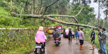 Hujan disertai angin kencang melanda kawasan Bandung bagian selatan pada Sabtu pagi (9/3/2024). Informasi dari Polsek Kertasari Polrestas Bandung menyebutkan terjadi pohon tumbang yang merintangi jalan di Jalan Raya Cibereum Blok Pasir Munding Kampung Cirawa Desa Cibereum Kec. Kertasari.